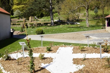 Un jardin